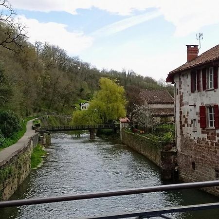 Saint Jean Pied De Port. Centre Ville. Rue Pietonne Exterior foto