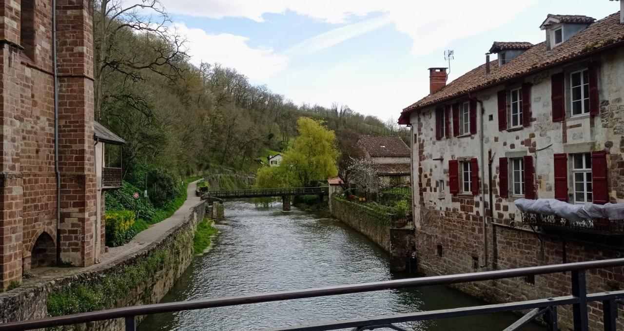 Saint Jean Pied De Port. Centre Ville. Rue Pietonne Exterior foto