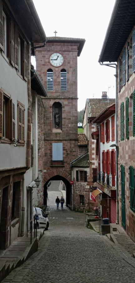 Saint Jean Pied De Port. Centre Ville. Rue Pietonne Exterior foto