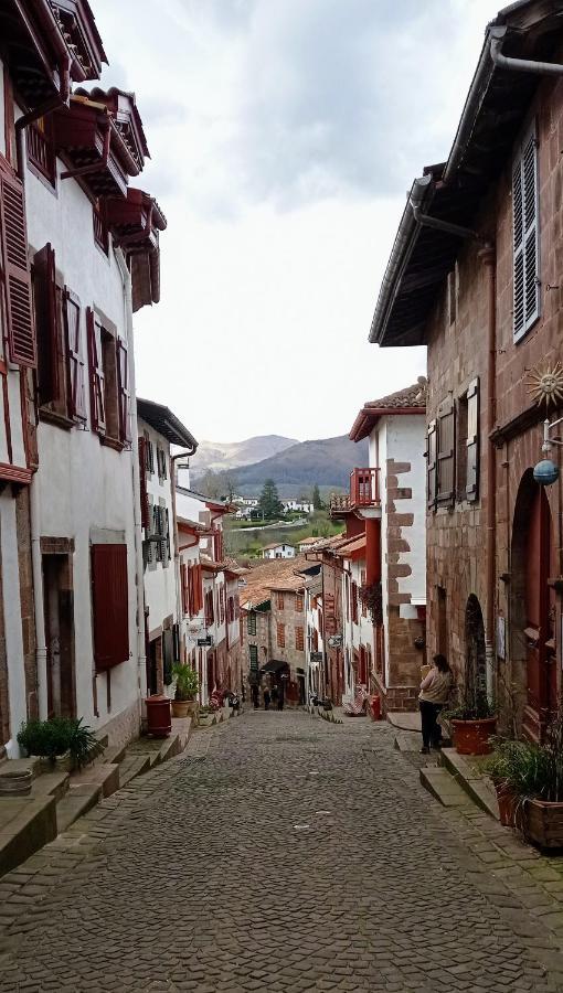 Saint Jean Pied De Port. Centre Ville. Rue Pietonne Exterior foto